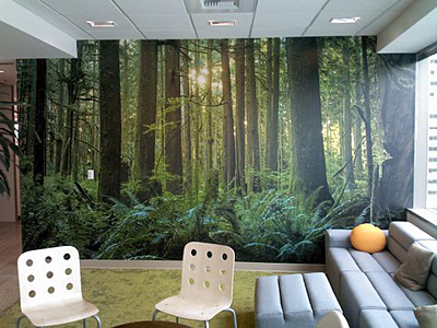 Tacoma, Gig Harbor, Seattle area wallcovering, wallpaper, and mural installation.